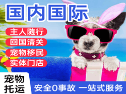 营口机场空运国际宠物托运 【国
